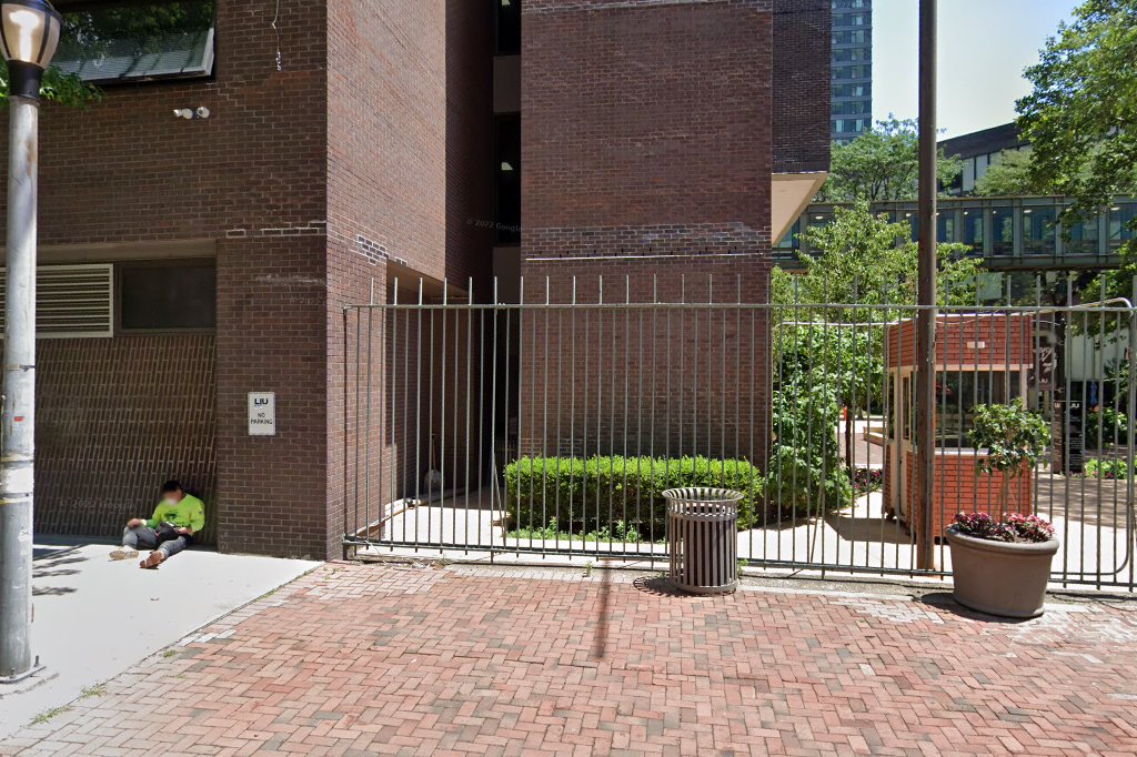 LIU Brooklyn