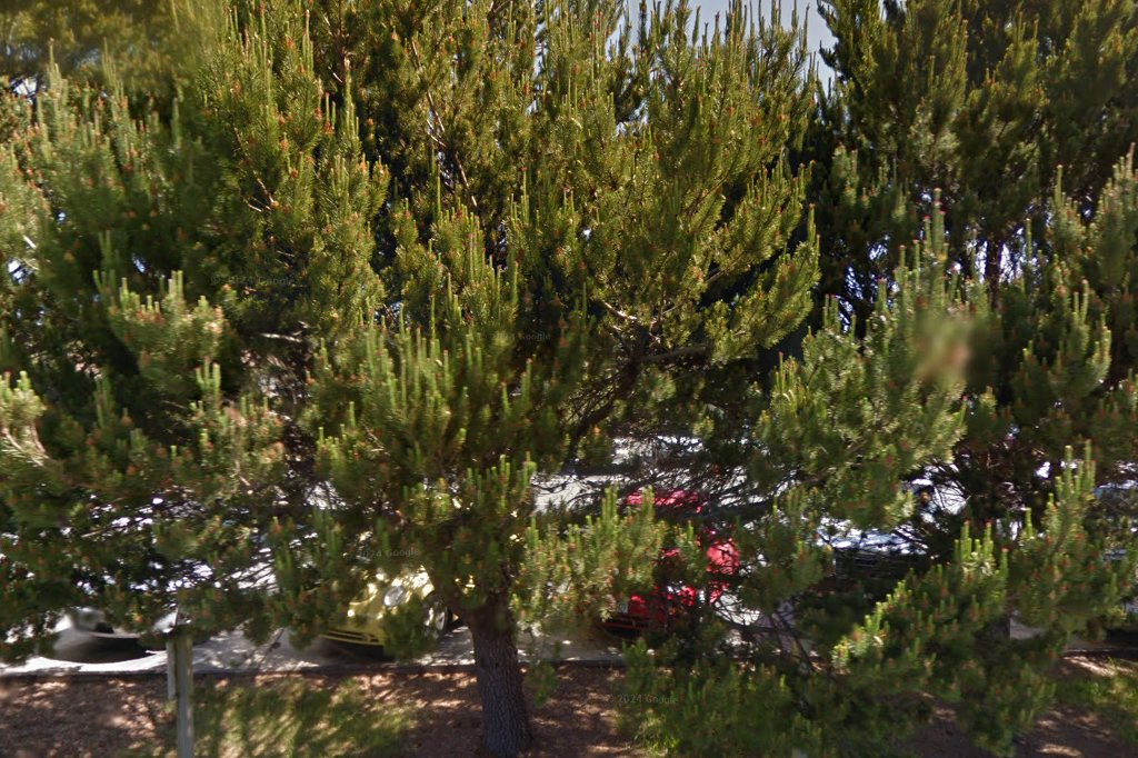 Pine Grove Elementary School