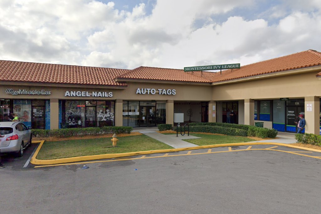 Hollywood Motor Vehicle Services