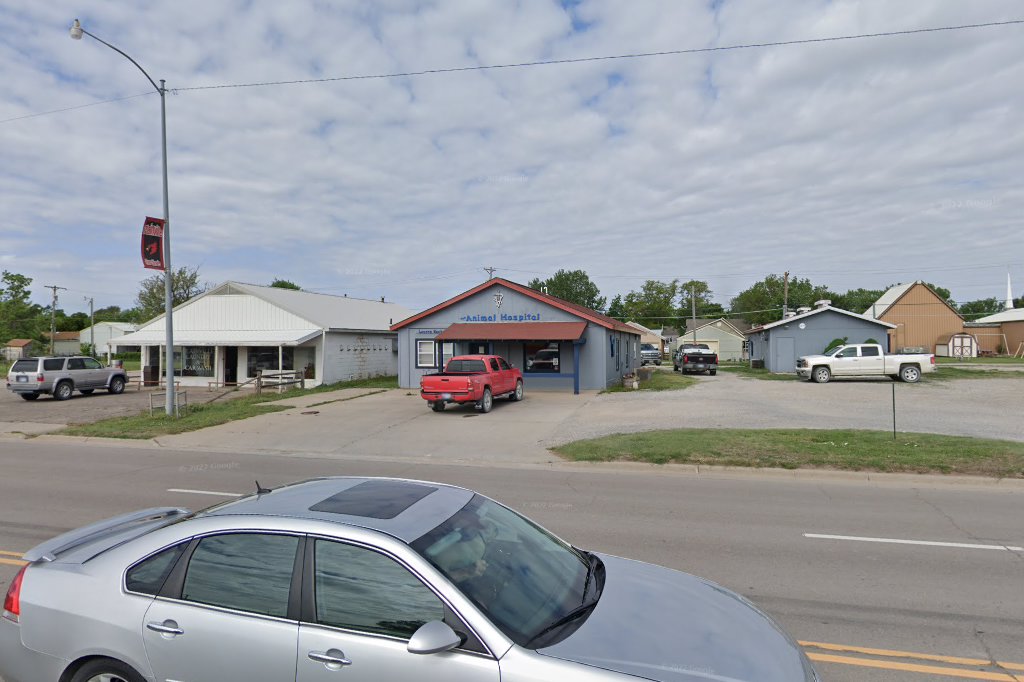 The Animal Hospital