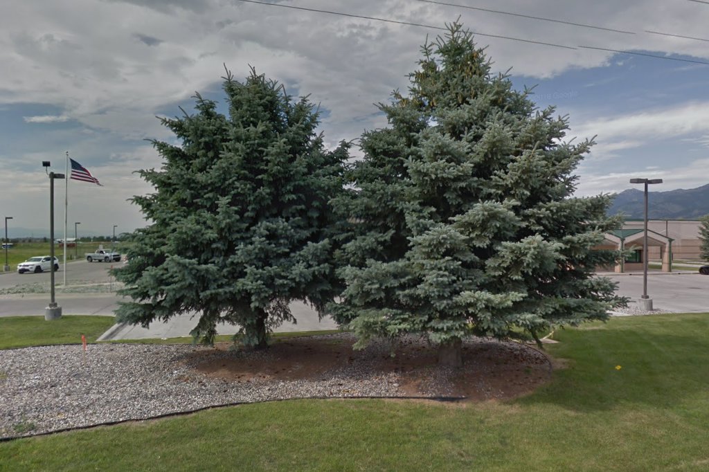 Bozeman Passport Office