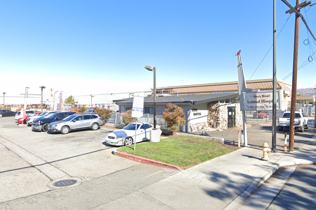 Animal Hospital of San Jose