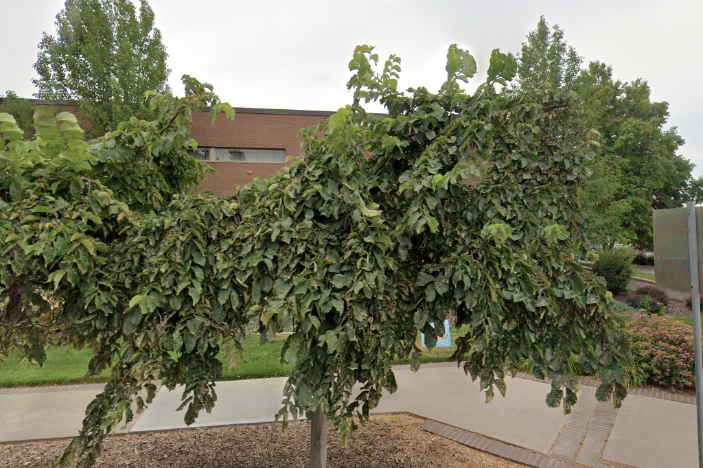 Idaho Falls Public Library