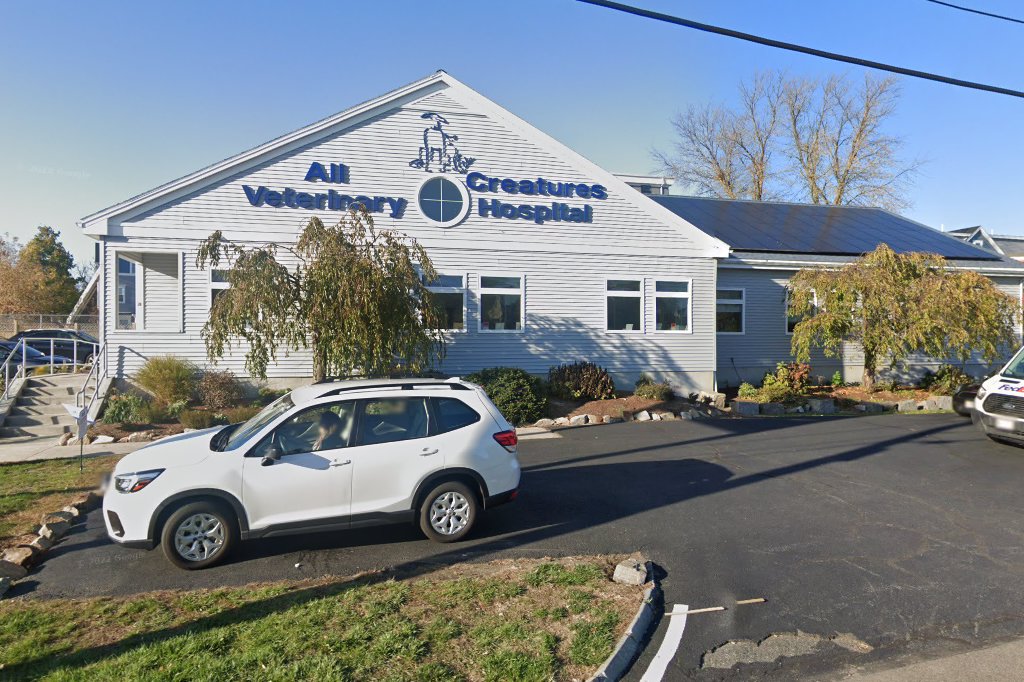 All Creatures Veterinary Hospital