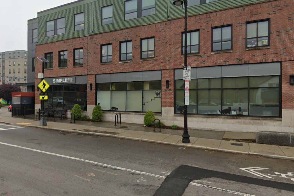 Boston Cat Hospital