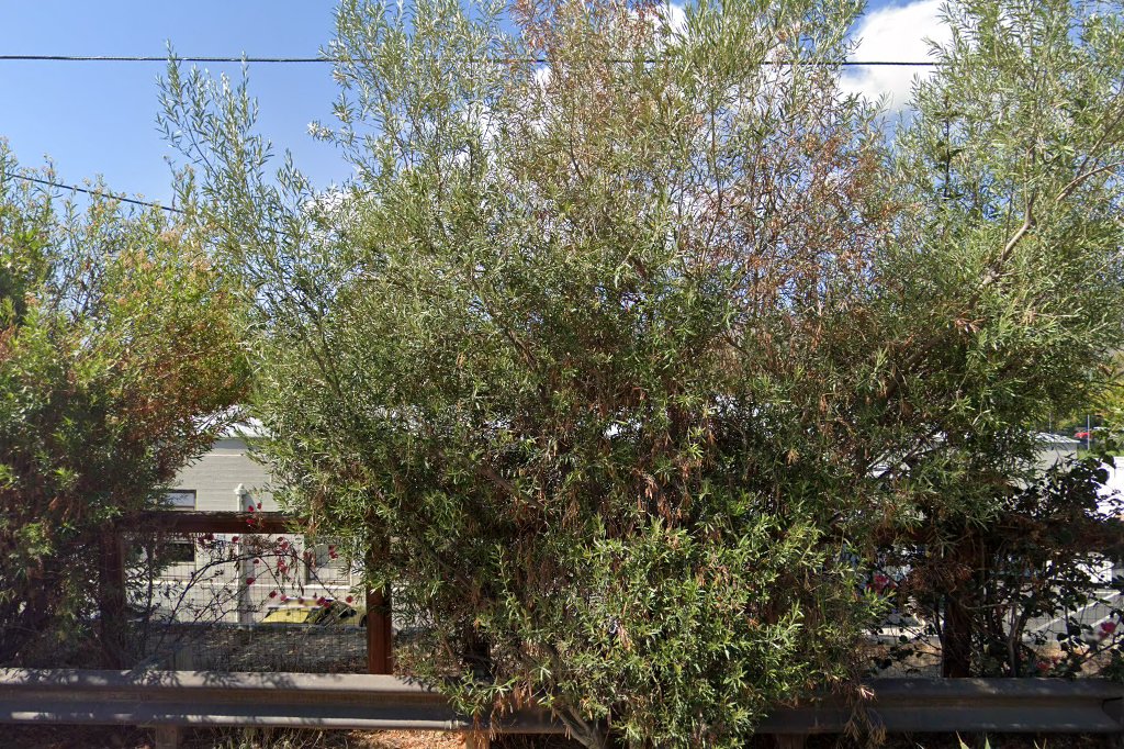 Junipero Serra High School