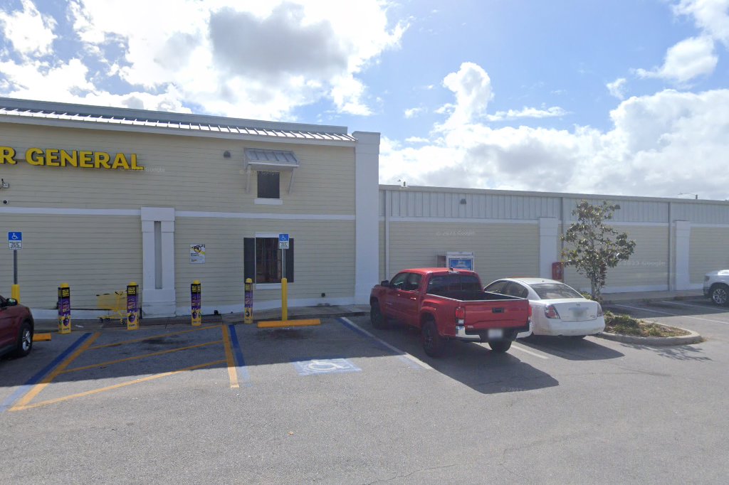 Goodwill Palmetto
