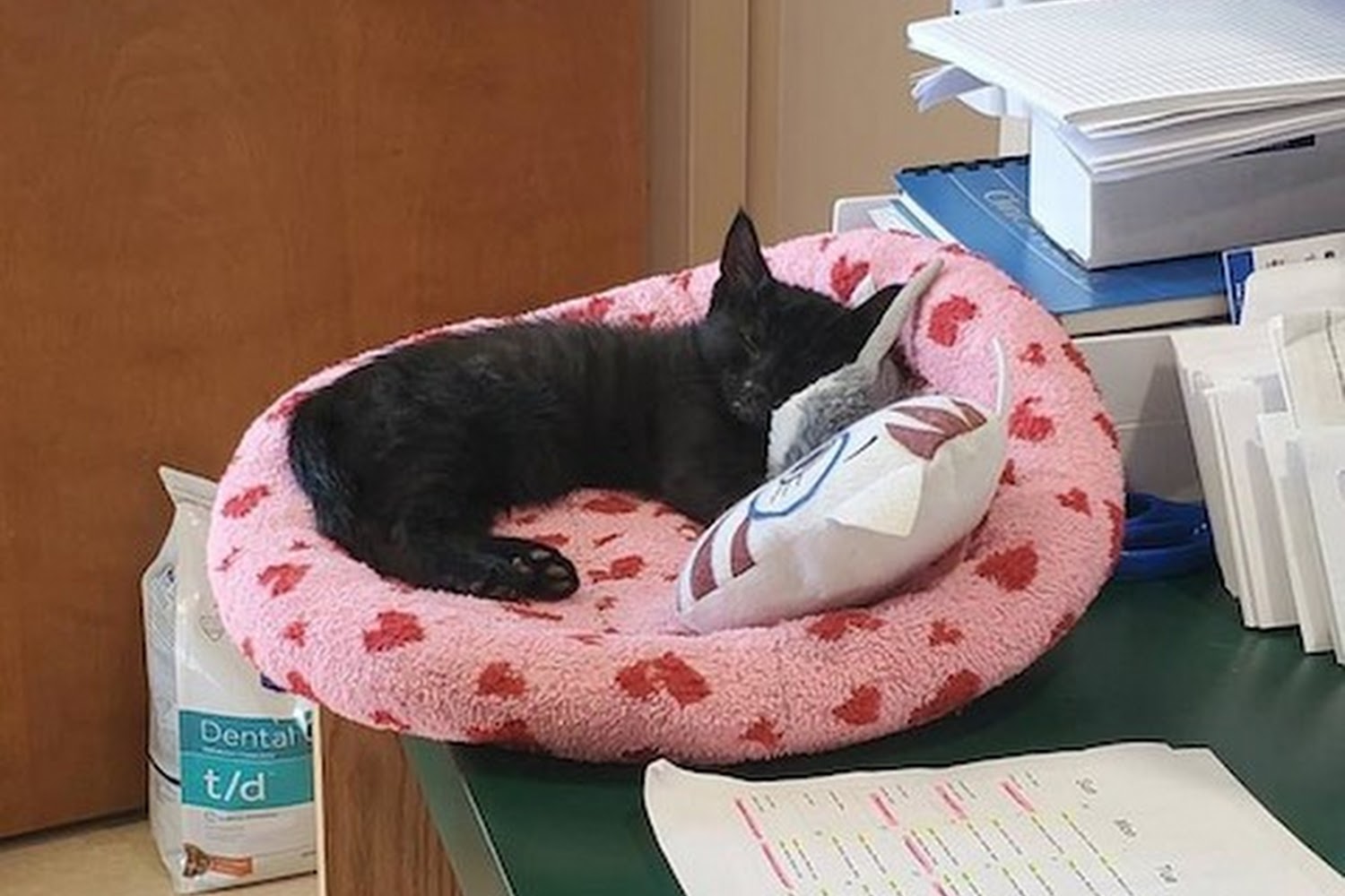 Essington Road Animal Hospital