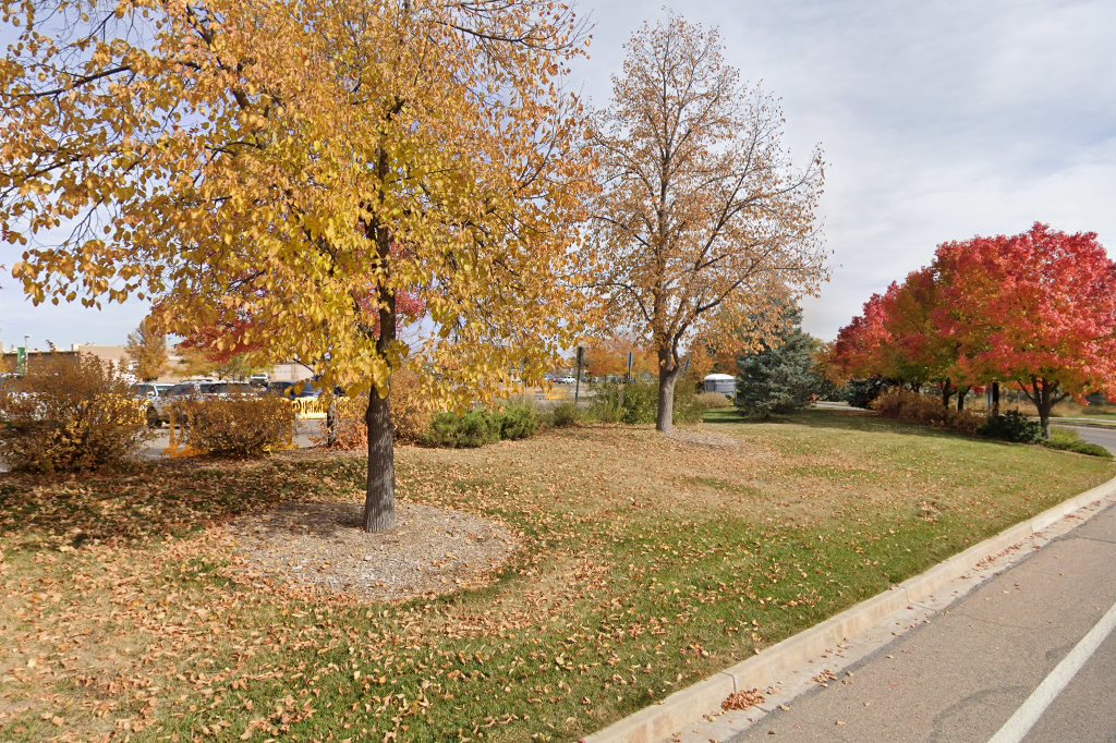 Colorado State University Veterinary Teaching Hospital