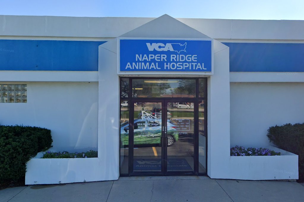 VCA Naper Ridge Animal Hospital