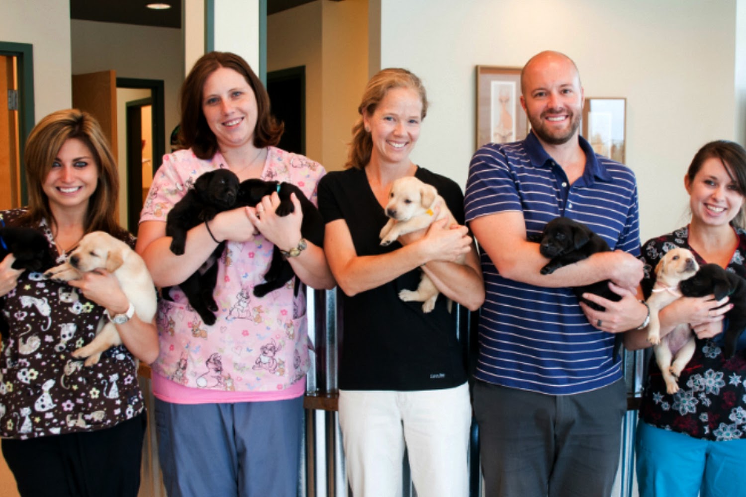Lafayette Companion Veterinary