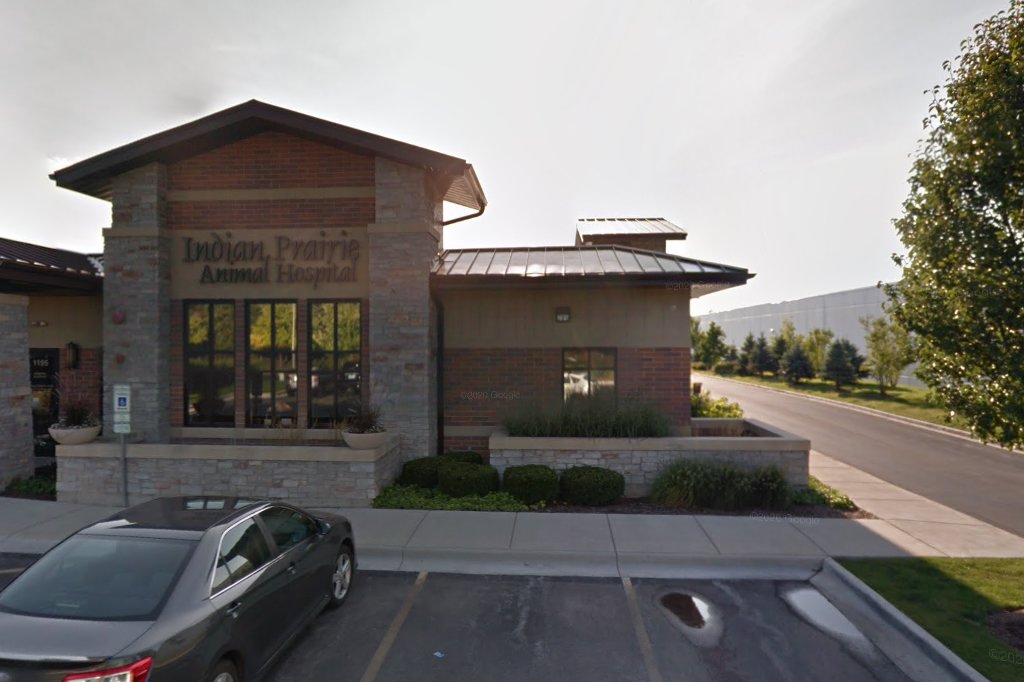 Indian Prairie Animal Hospital