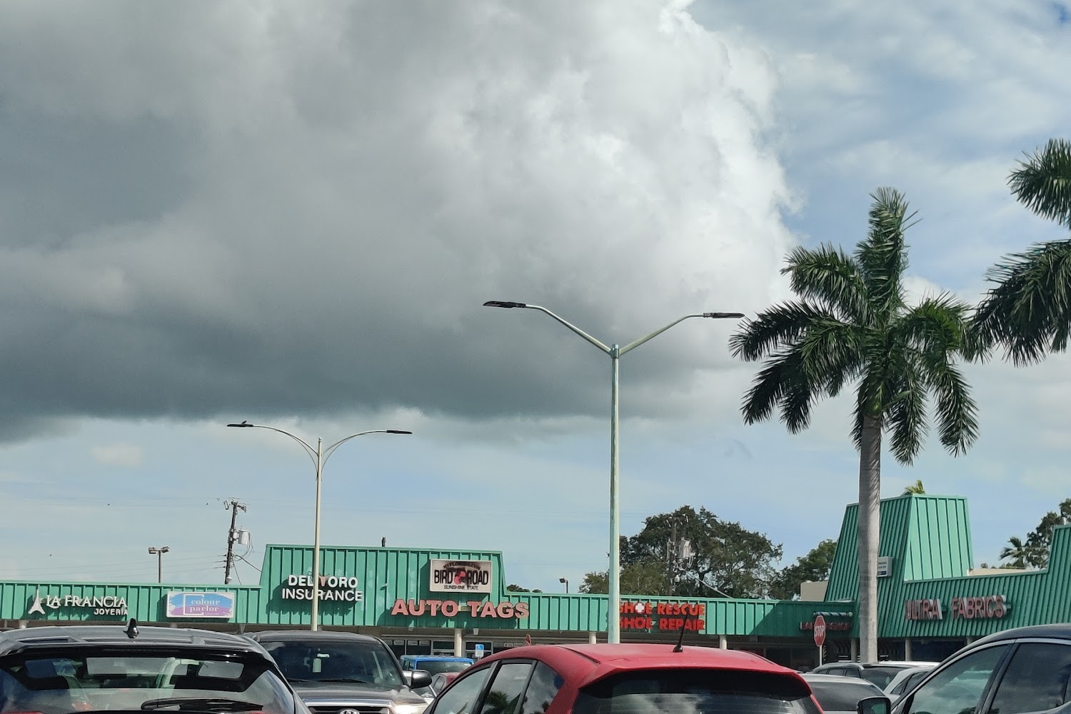 Miami Motor Vehicle Services