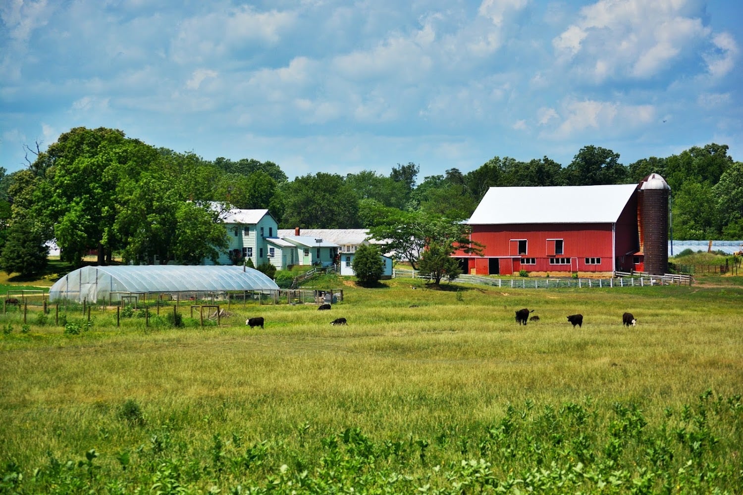 HORSE of Maryland