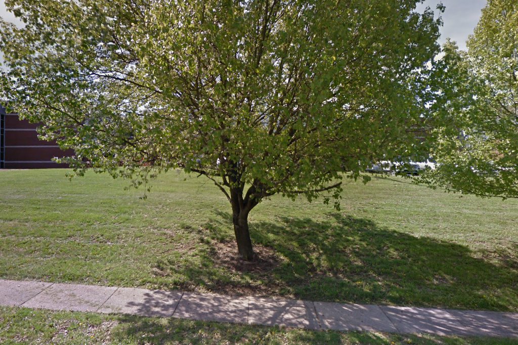 Rogers Elementary School