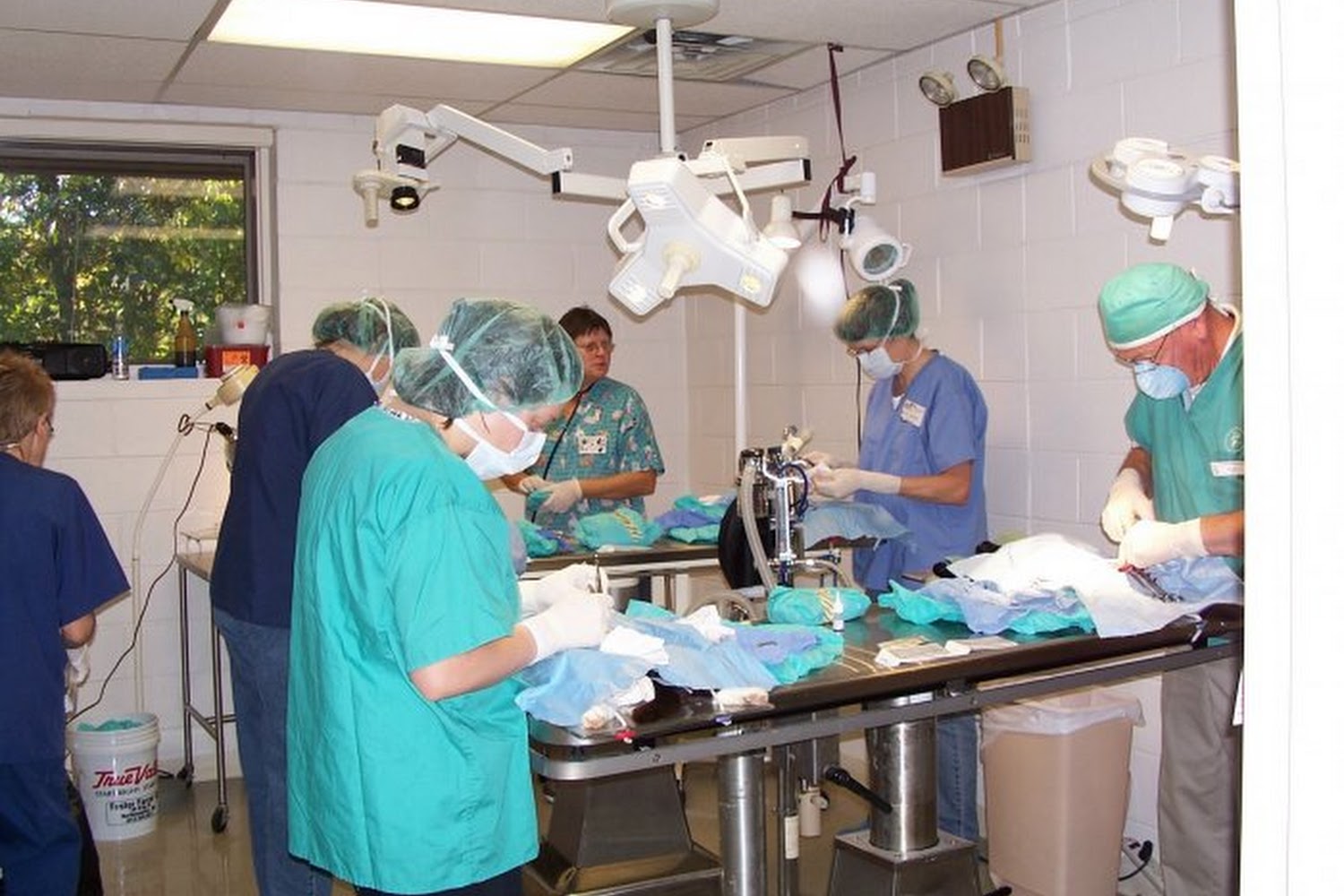 Wickaboag Veterinary Clinic