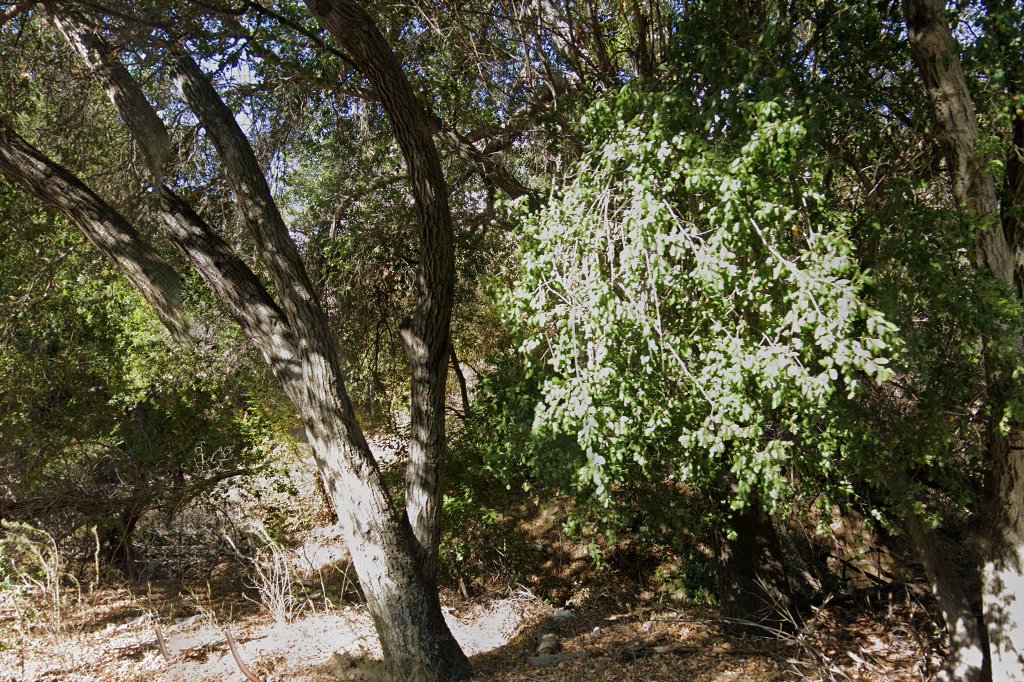 Mesivta of Greater Los Angeles