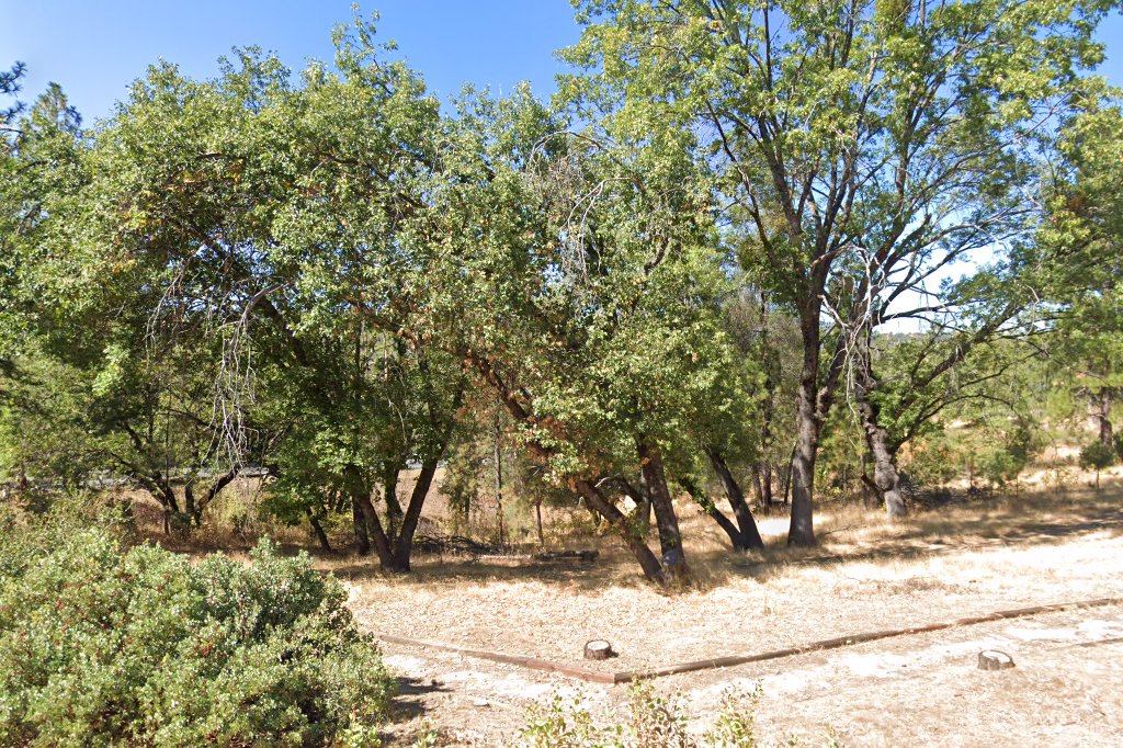 Cougar Springs Community Day