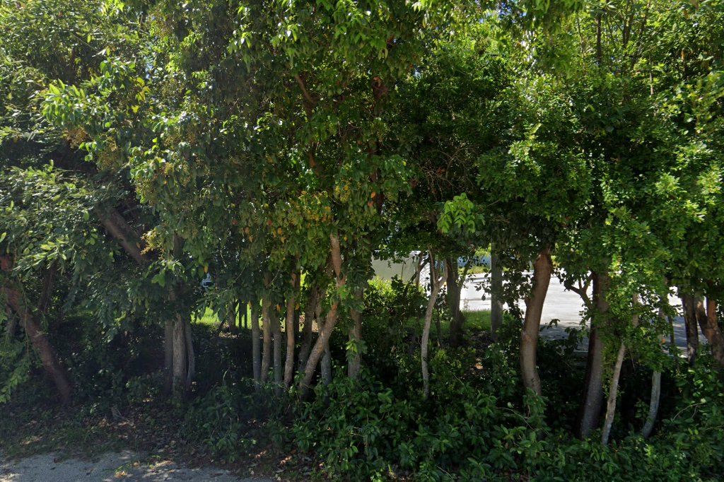 Plantation Key Circuit Court