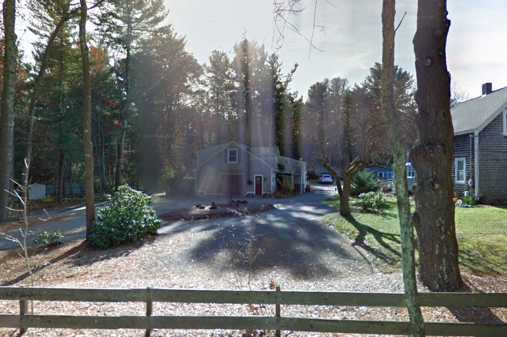 Airedale Rescue