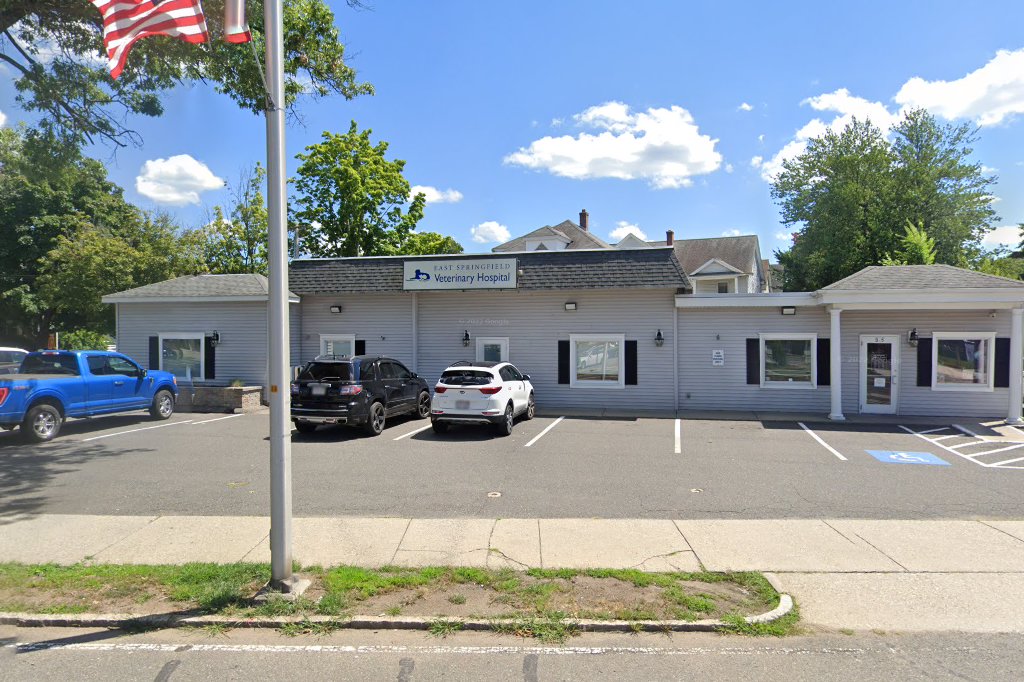 East Springfield Veterinary Hospital