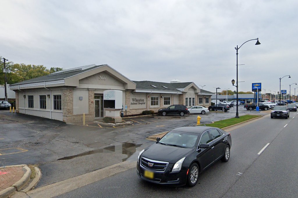 Wheaton Animal Hospital