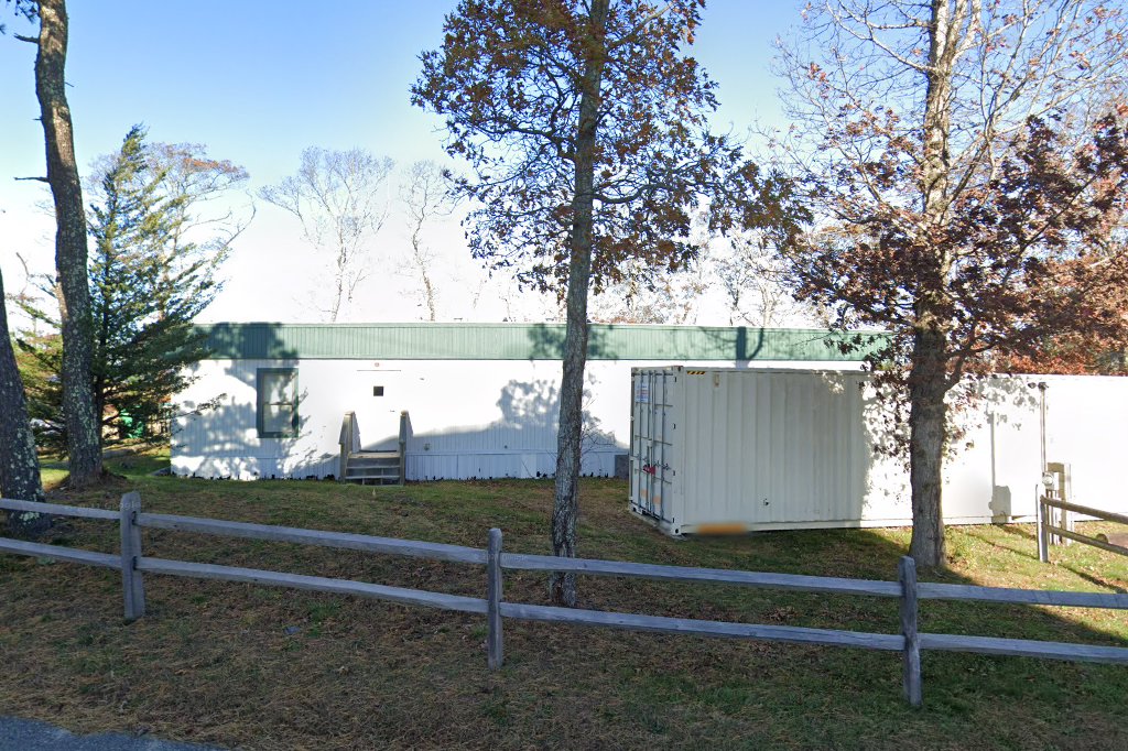 Vineyard Haven Animal Control