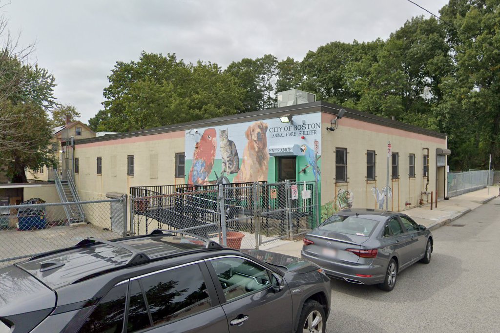 Roslindale Animal Control