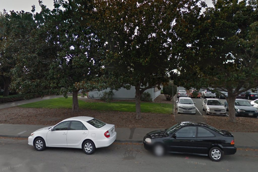 Palo Alto Prep