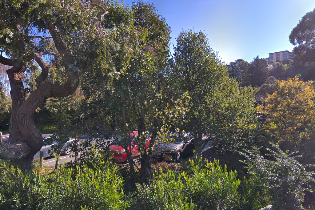 Marin Country Day School