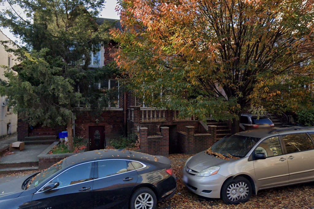 Carriage Horse Action