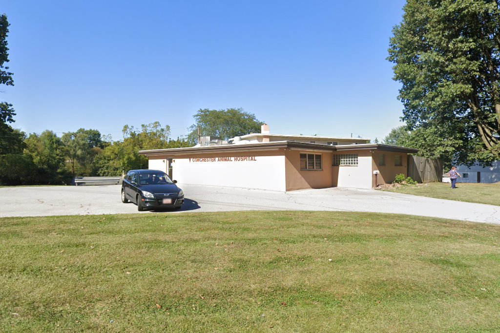 Conchester Animal Hospital