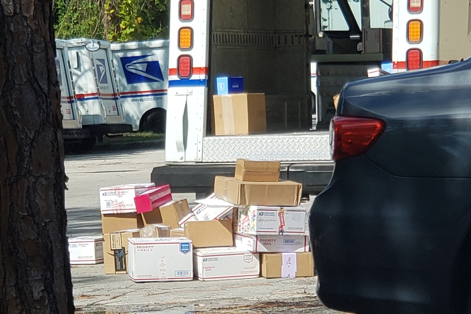 Ehrlich Passport Office