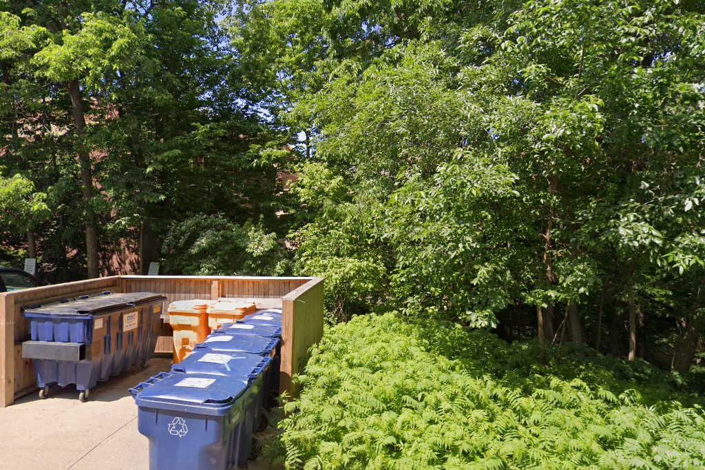 Carleton College