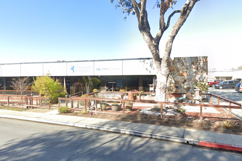 The Avalon Academy