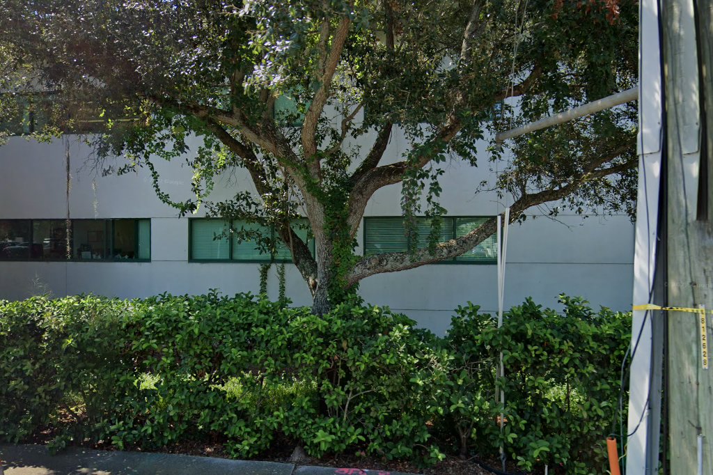 Clearwater Academy International
