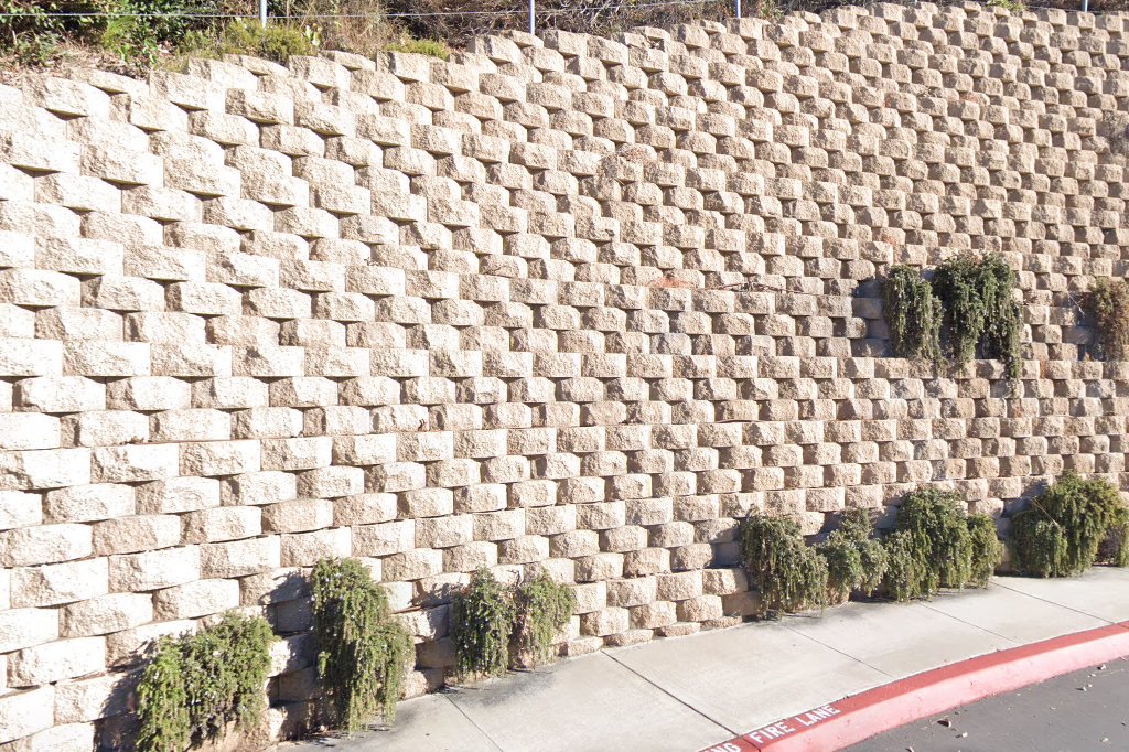 University of San Diego