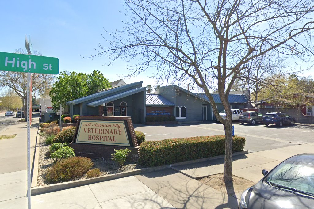All American City Veterinary Hospital