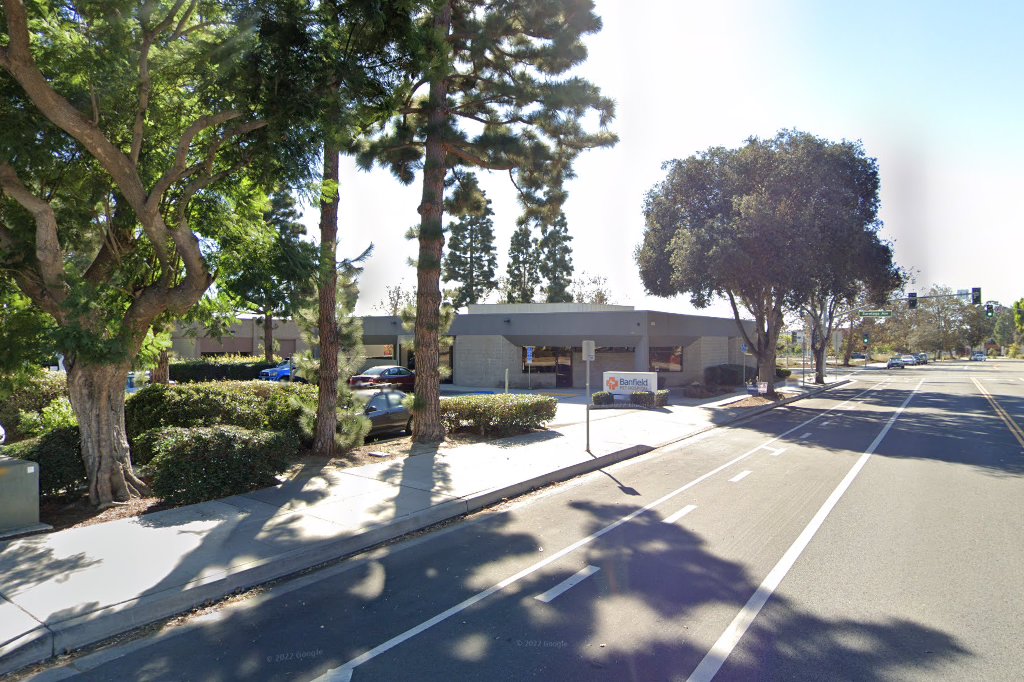 Anacapa Animal Hospital