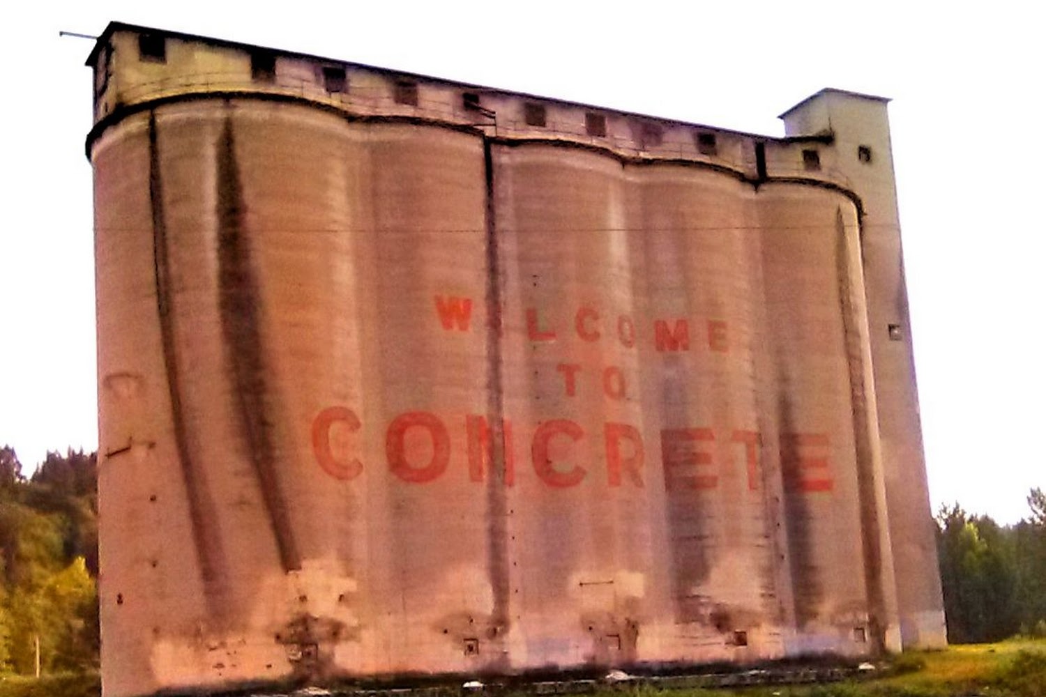 Concrete Vehicle Licensing Office