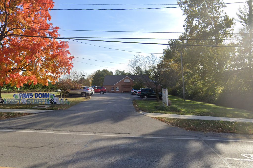 North Kenny Veterinary Hospital