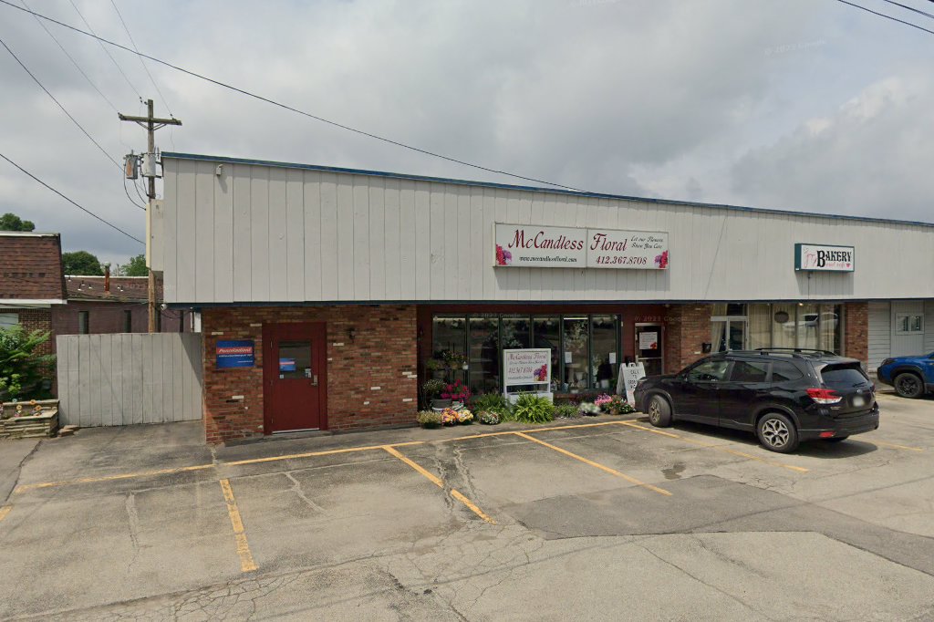McCandless District Court