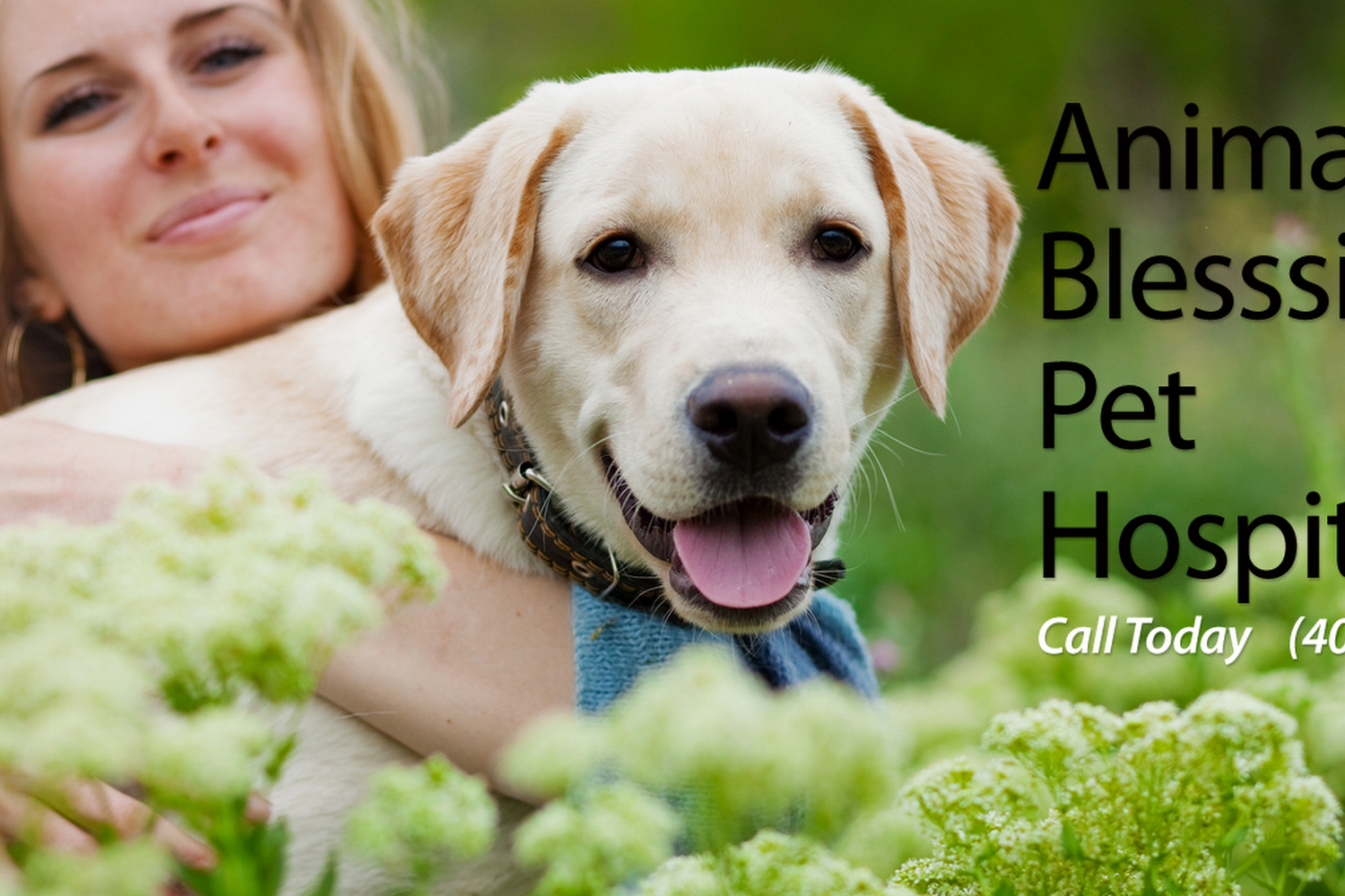 Animal Blessings Pet Hospital