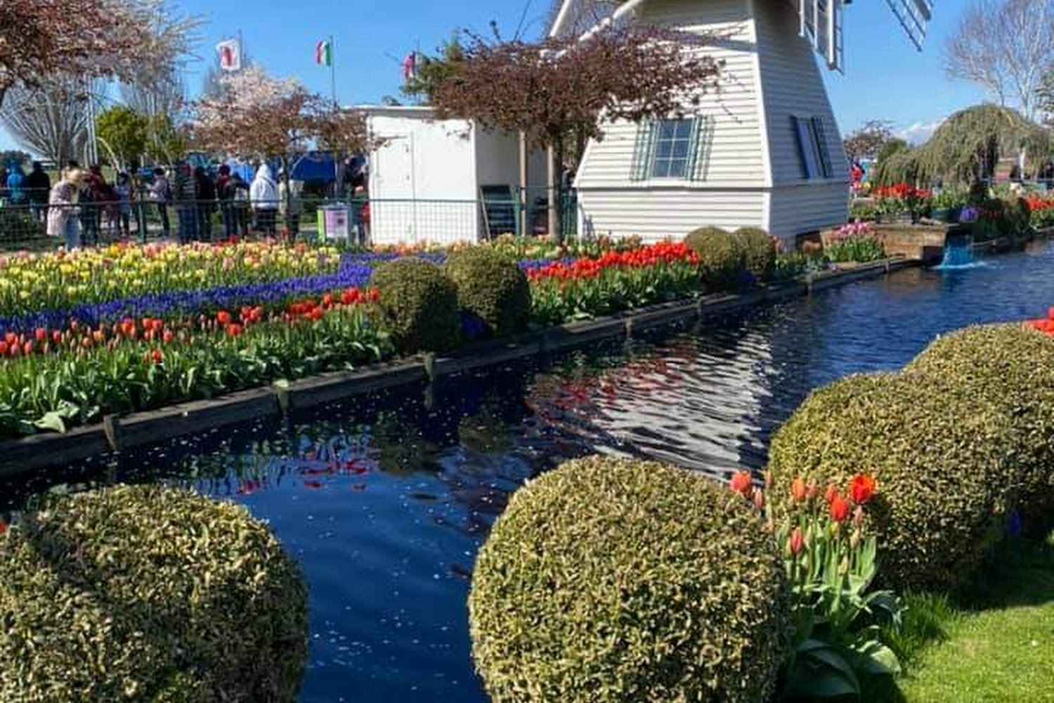 Goodwill Mount Vernon