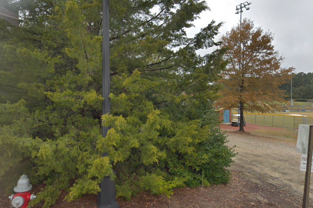Cary Academy