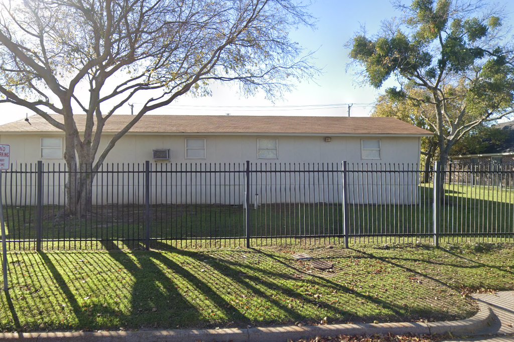 Fine Arts Academy