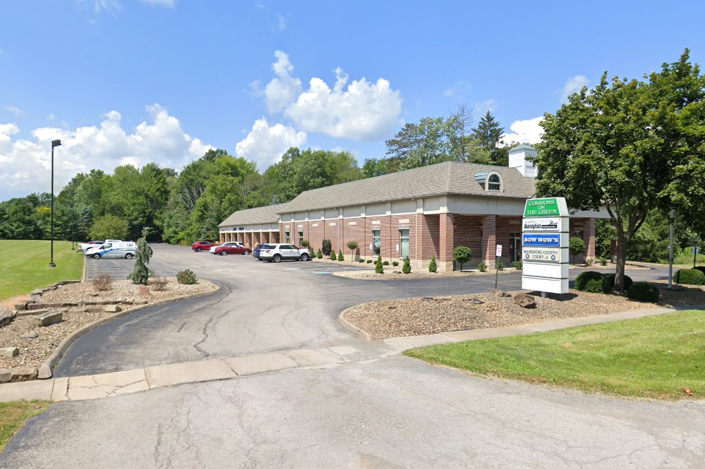 Mahoning County Court II