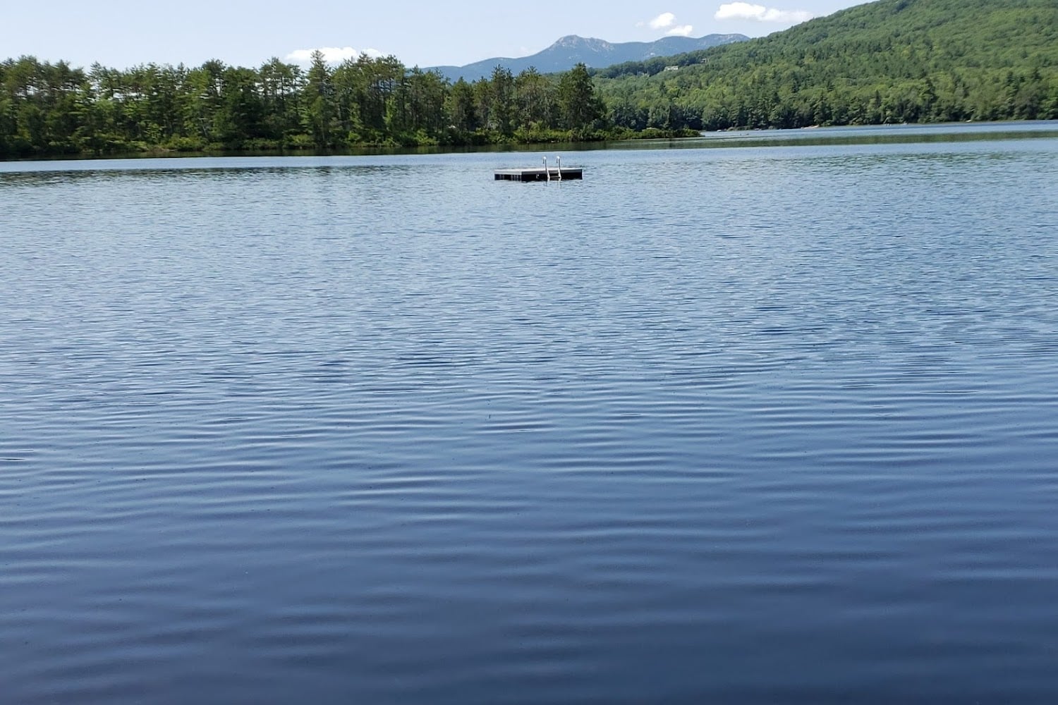 Eastern Slopes Animal Welfare League
