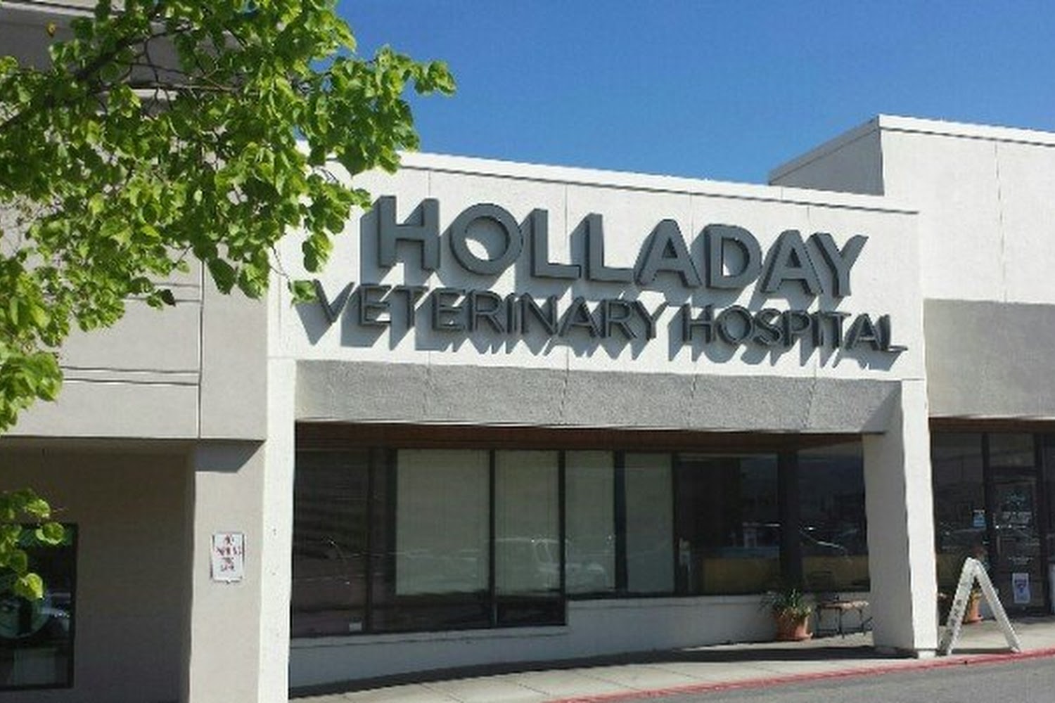 All About Pets Animal Hospital
