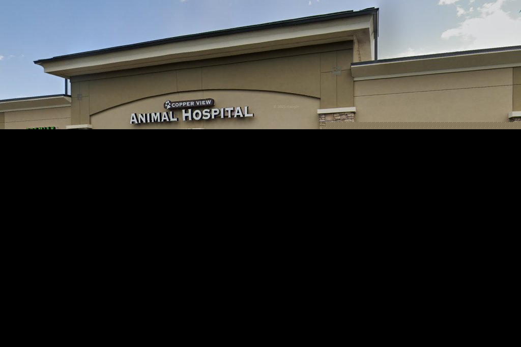 Copper View Animal Hospital